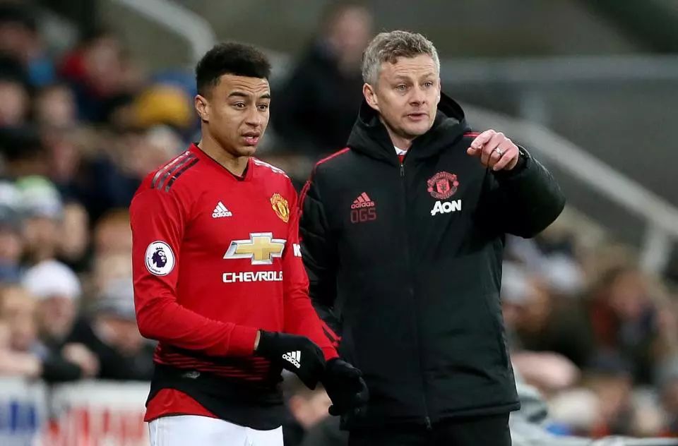 篮板保护 篮板保护